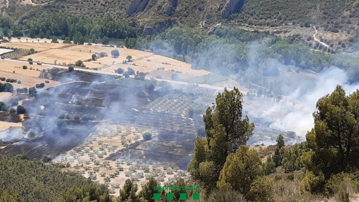 El fuego calcinó 9,3 hectáreas de campos y arbolado.