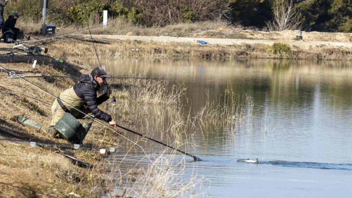 L’estany davant del convent de Sant Bartomeu va acollir aquest cap de setmana l’autonòmic valencià.