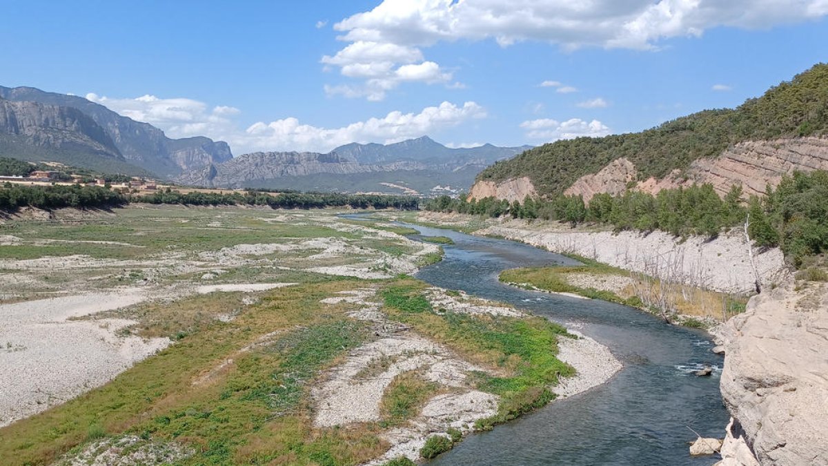 La cola del pantano de Rialb en una imagen de principio de verano.