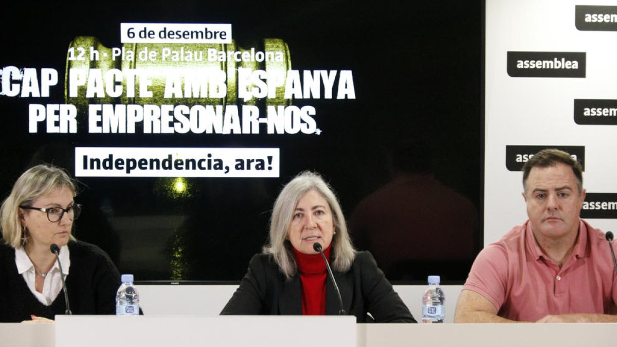 Dolors Feliu va cridar a manifestar-se dimarts a Barcelona.