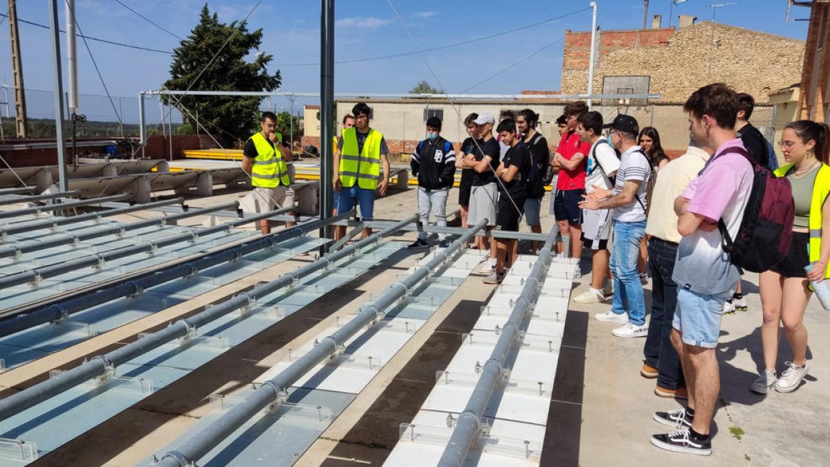 Alumnos de Secundaria durante una de las visitas por Almatret.