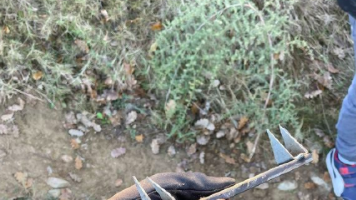 Una de les trampes trobades a La Serreta.