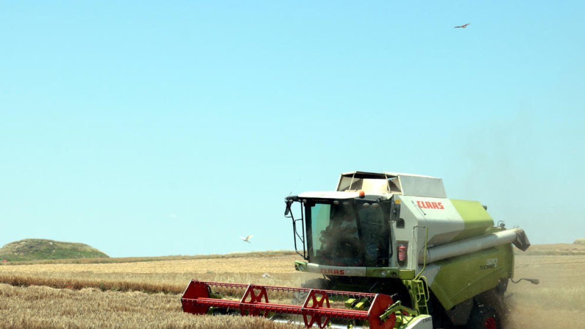En el cas que no plogui aviat, imatges com aquesta poden ser impossibles en la campanya.