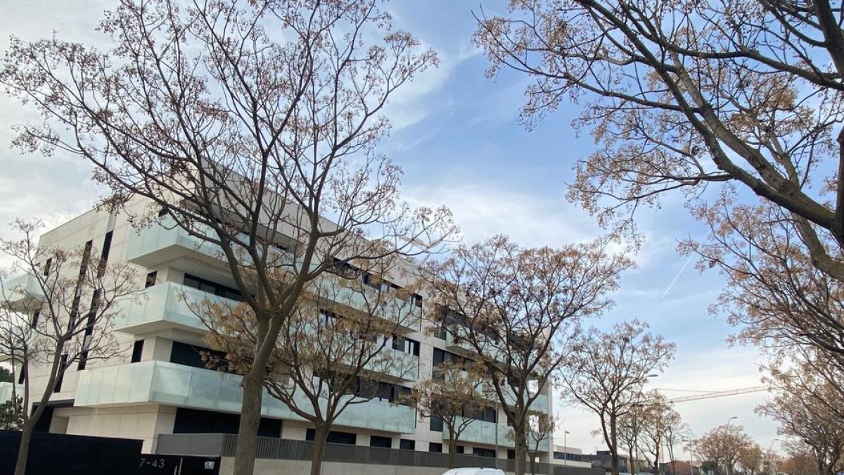 Una promoción de viviendas recién acabada en Ciutat Jardí  y, al fondo, una grúa ya preparada para iniciar otra en un solar próximo.