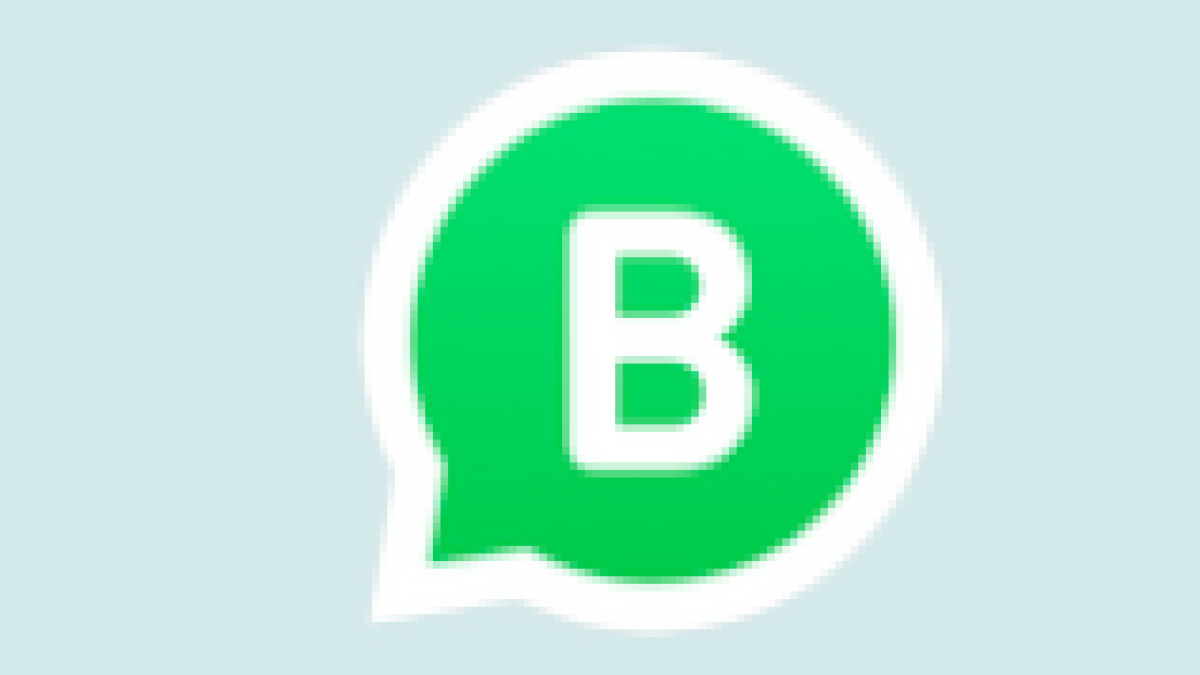 Eso es lo que puedes hacer con WhatsApp Business