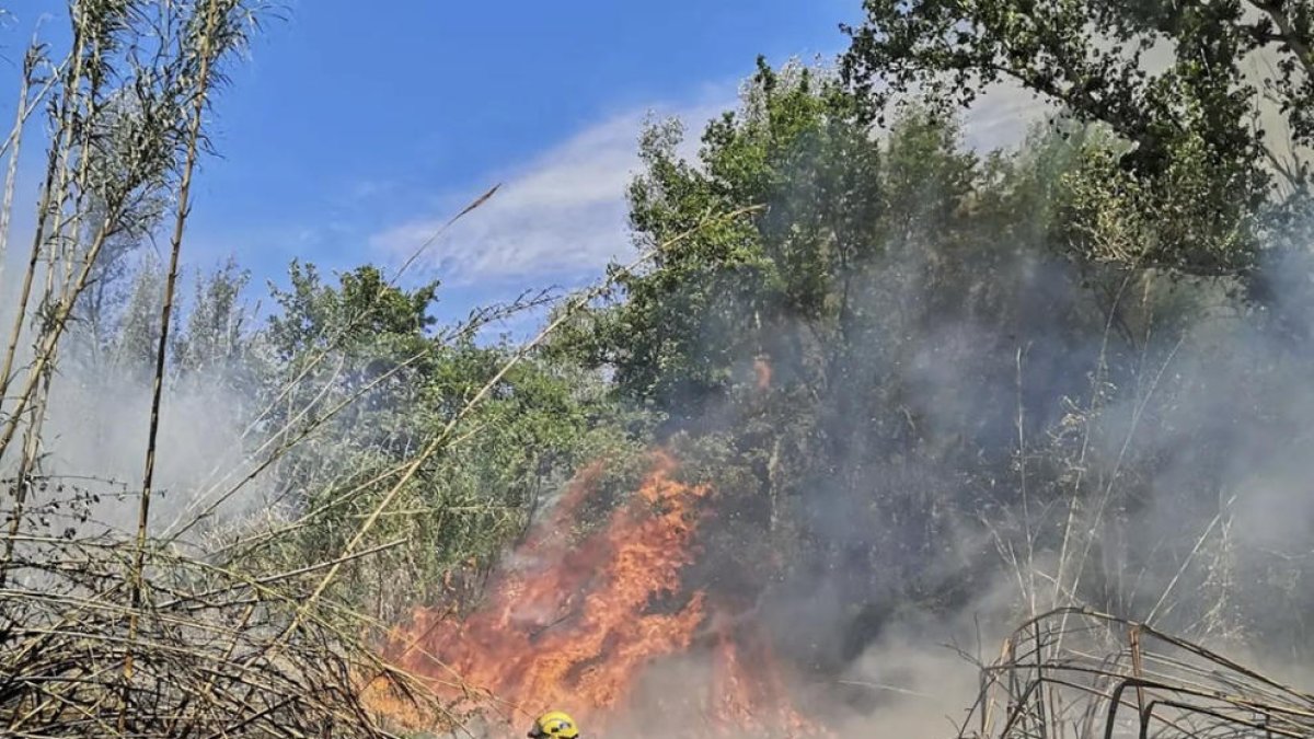 Un bombero trabajando ayer por la tarde en la extinción del incendio.