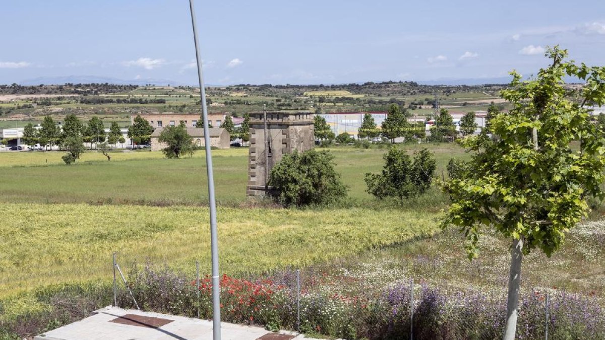 Los terrenos donde se prevé ubicar el CAP.