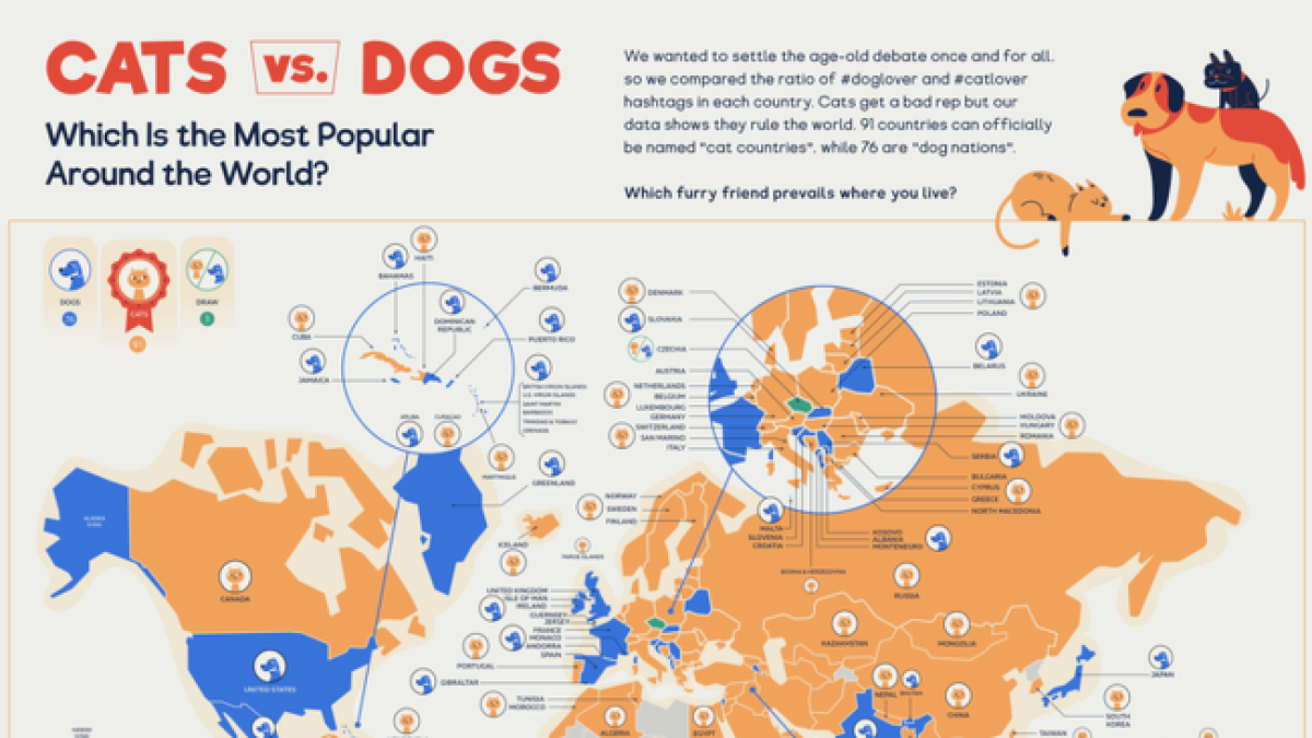¿Gato o perro? ¿Qué mascota prefiere cada país del mundo?