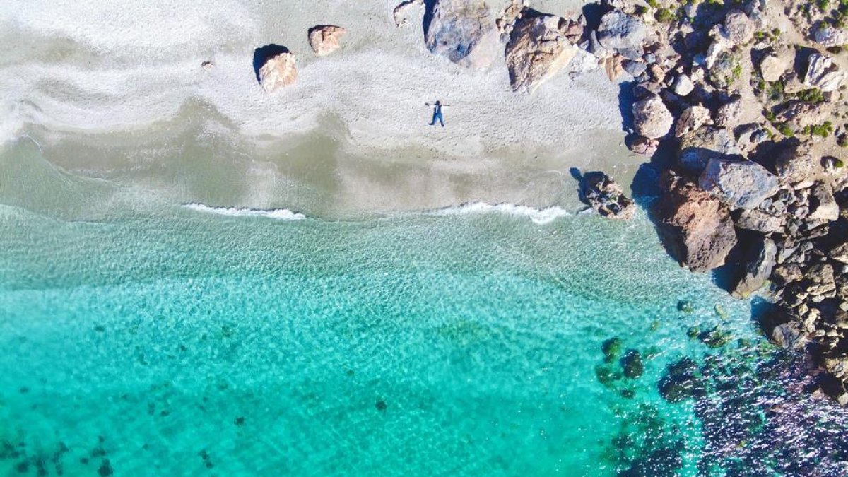 El Mediterráneo ya tiene 1.000 especies invasoras
