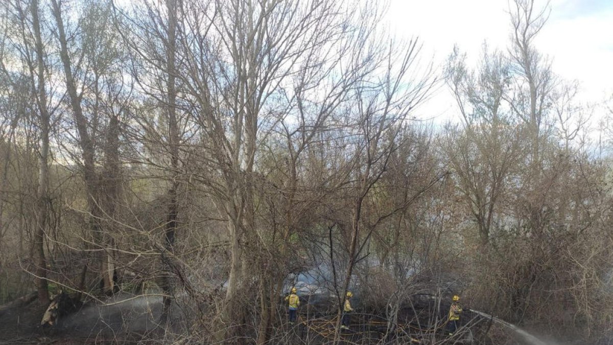 Incendio de vegetación junto al río Segre en la capital de la Noguera