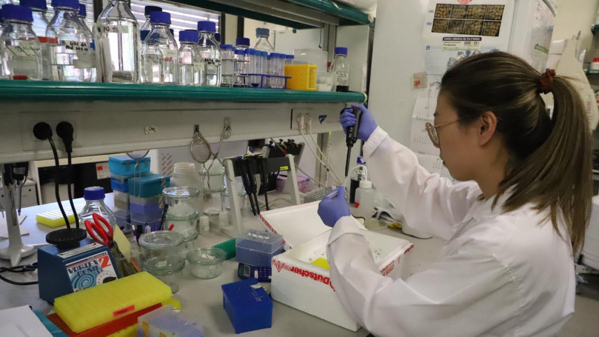 Una investigadora en un laboratorio de Agrónomos.