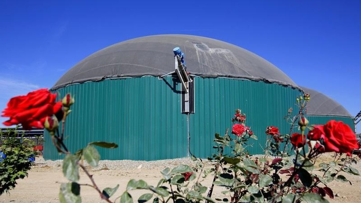 El 44% del consum de gas del Segrià podria ser d'origen renovable