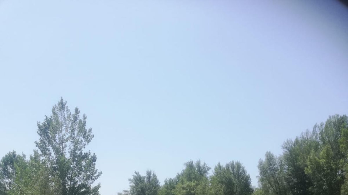 Imagen ayer de la intervención en el río en Camarasa.