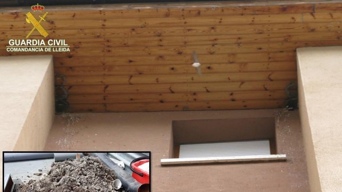 Destruyen de manera ilegal 29 nidos de una especie protegida de pájaros de un edificio de viviendas de Sort