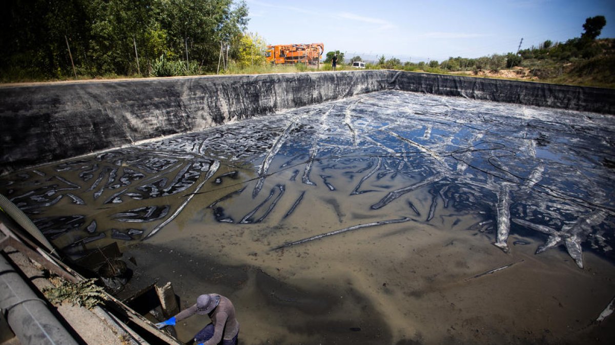 Operarios trabajaban ayer para retirar las algas uno de los depósitos municipales de Juneda.