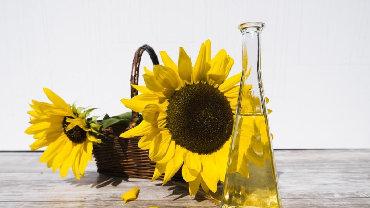 Què està passant amb l'oli de gira-sol?