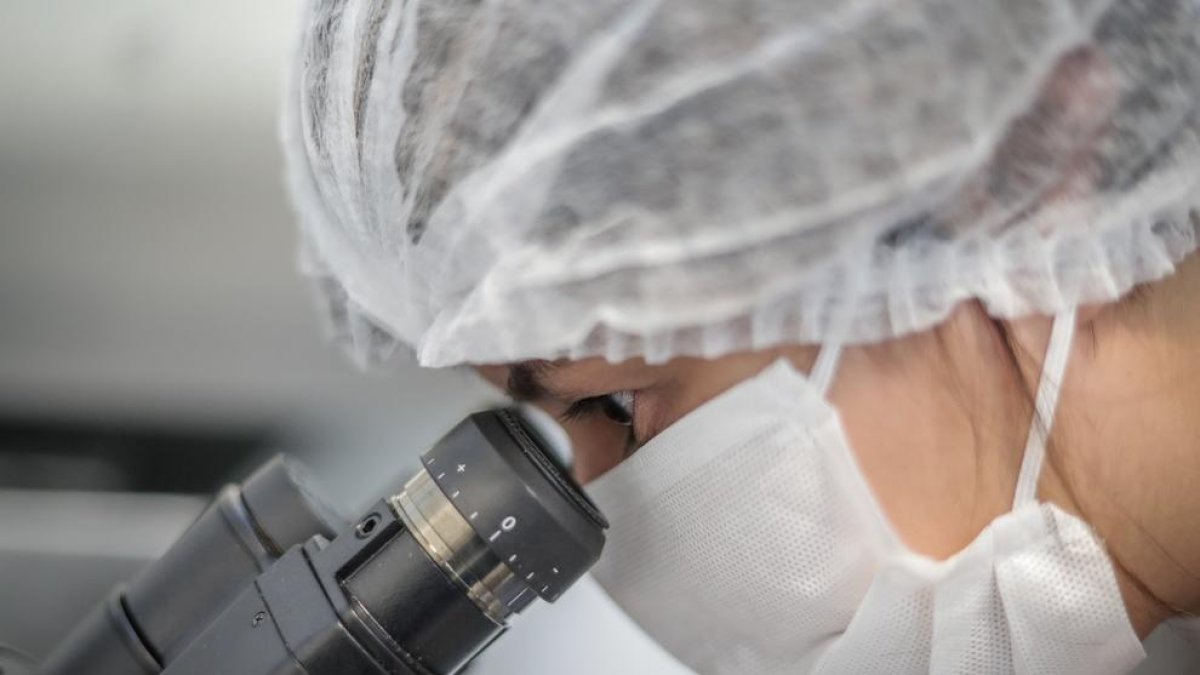 Un investigador trabaja en un laboratorio en una imagen de archivo.