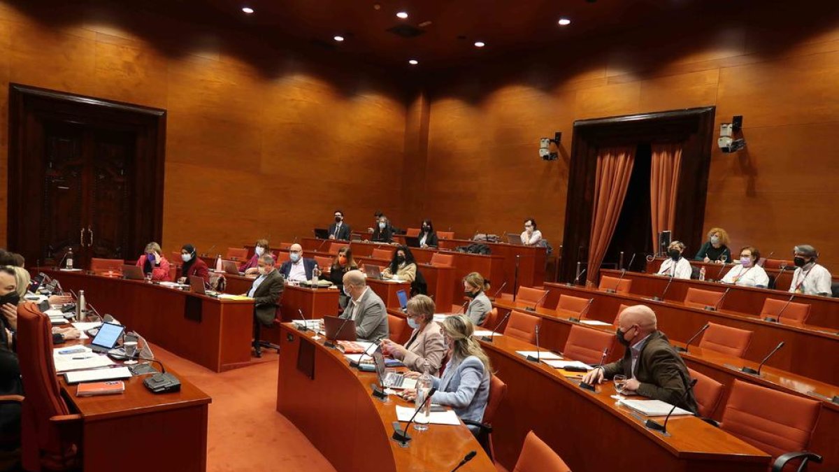 Els representants dels grups parlamentaris a la comissió de Drets Socials celebrada al Parlament amb la consellera Violant Cervera.