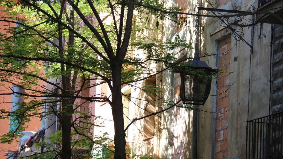 Un pis de Barcelona amb la finestra tapiada perquè no entrin els okupes.