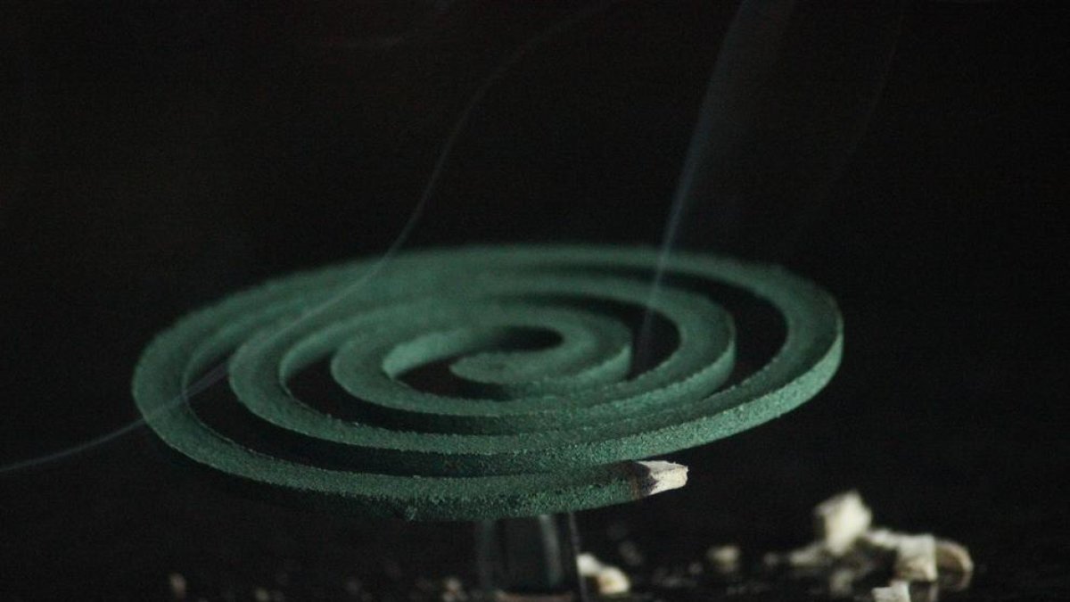 ¿Qué aspectos hay que tener en cuenta para elegir un repelente de mosquitos?