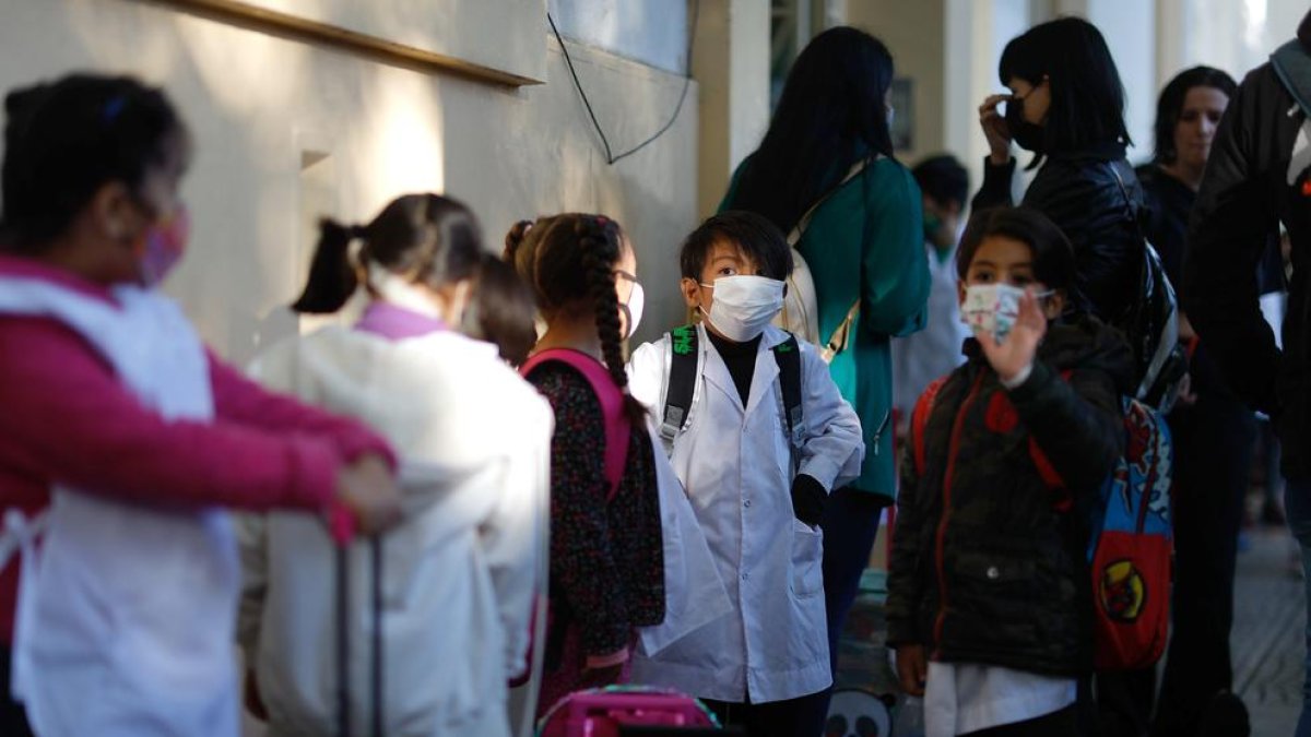 Els anticossos naturals davant de la covid duren almenys 7 mesos en els nens