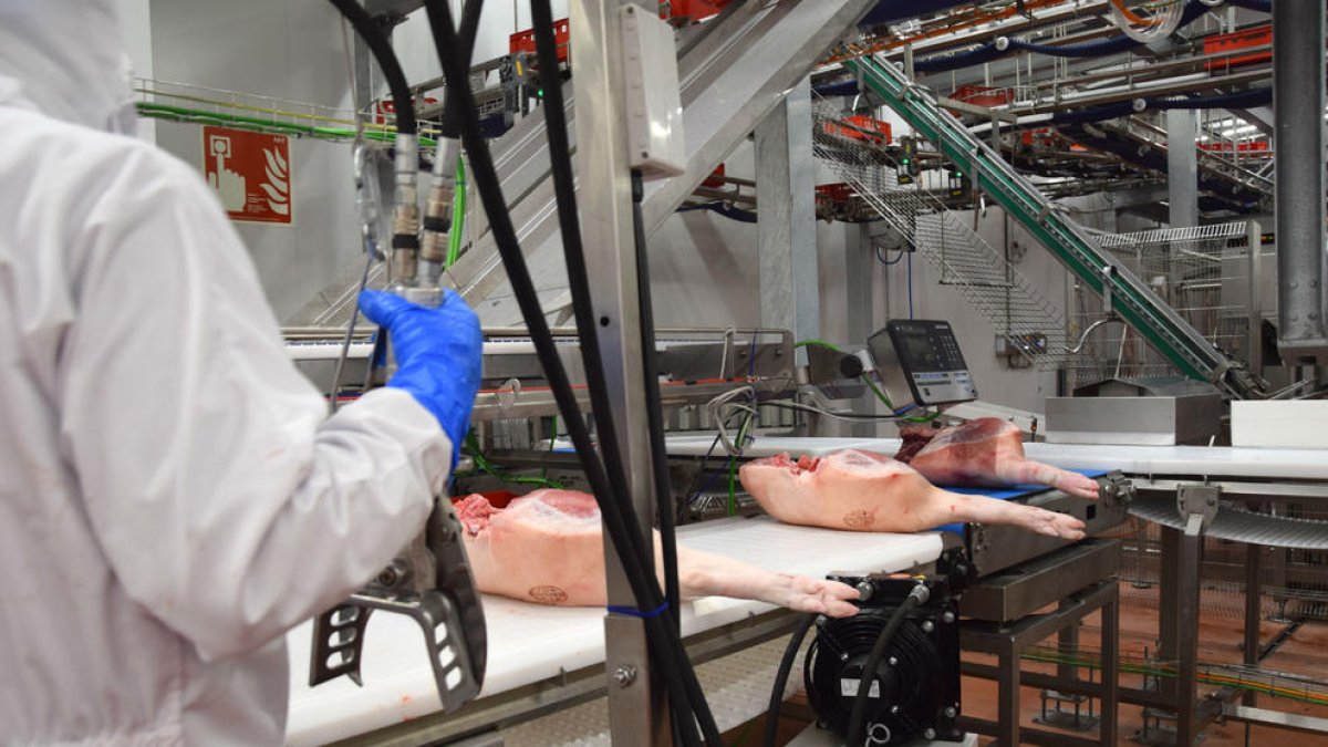 Imagen de las instalaciones del matadero de Binéfar.