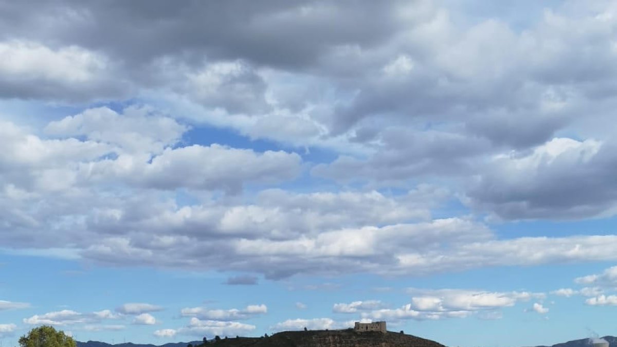 Preparación de los terrenos para una planta solar de la comunidad del Garrigues Sud en Flix.