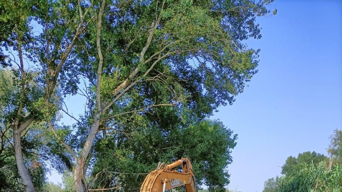 La CHE ha iniciat els treballs per demolir el pas del riu.