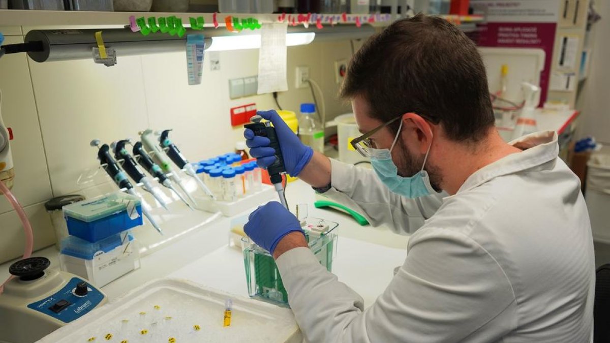 Fotografía de un investigador facilitada por el El Vall d'Hebron Instituto de Investigación (VHIR).