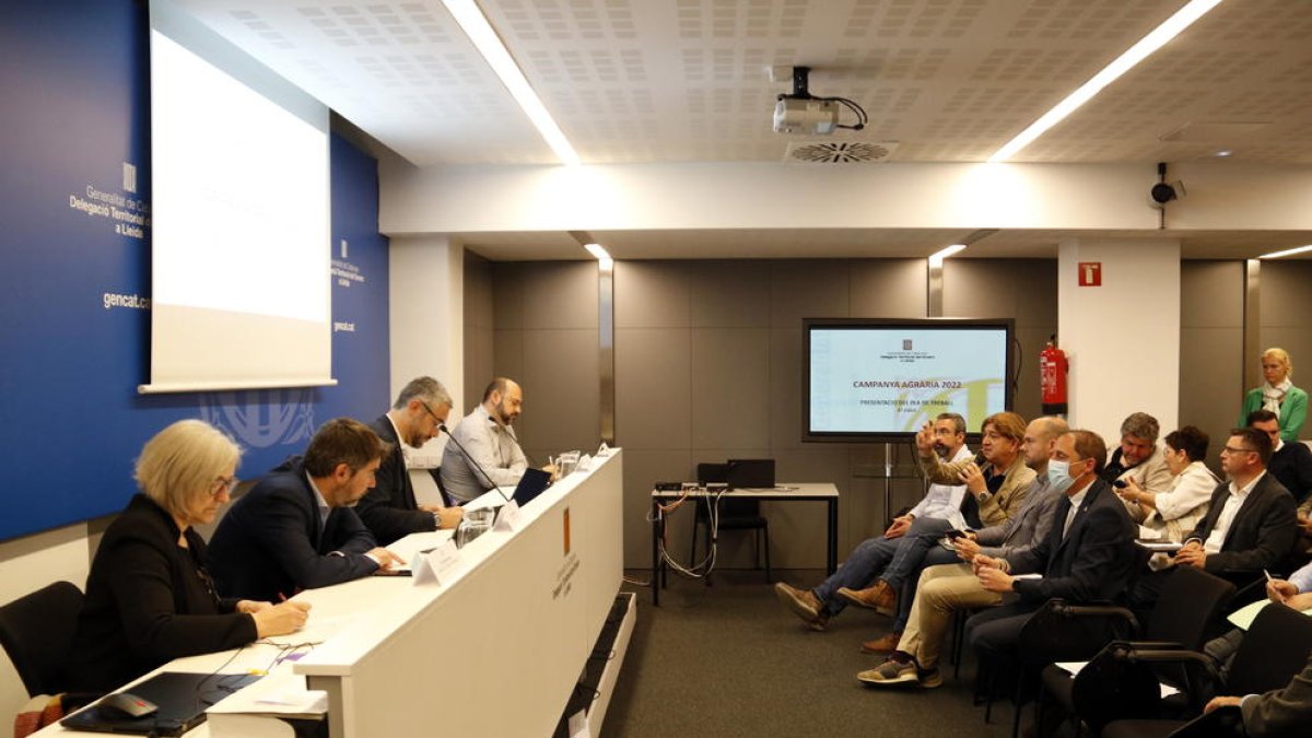 El sector agrario reclama ayudas directas 'como el sector del libro' por las pérdidas a causa de las heladas