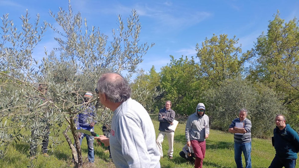 Un momento de las explicaciones de los técnicos del IRTA.