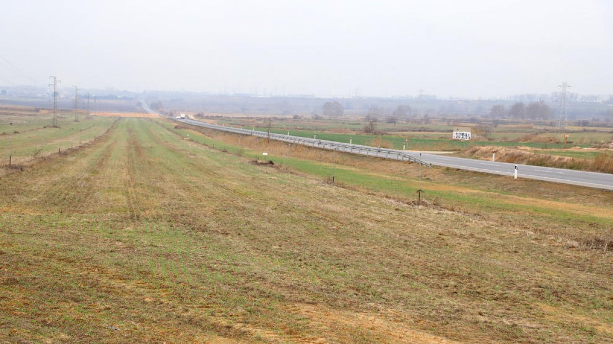 Vista de la zona en la que se construirá el polígono de Torreblanca i Quatre Pilans, junto a la N-240.