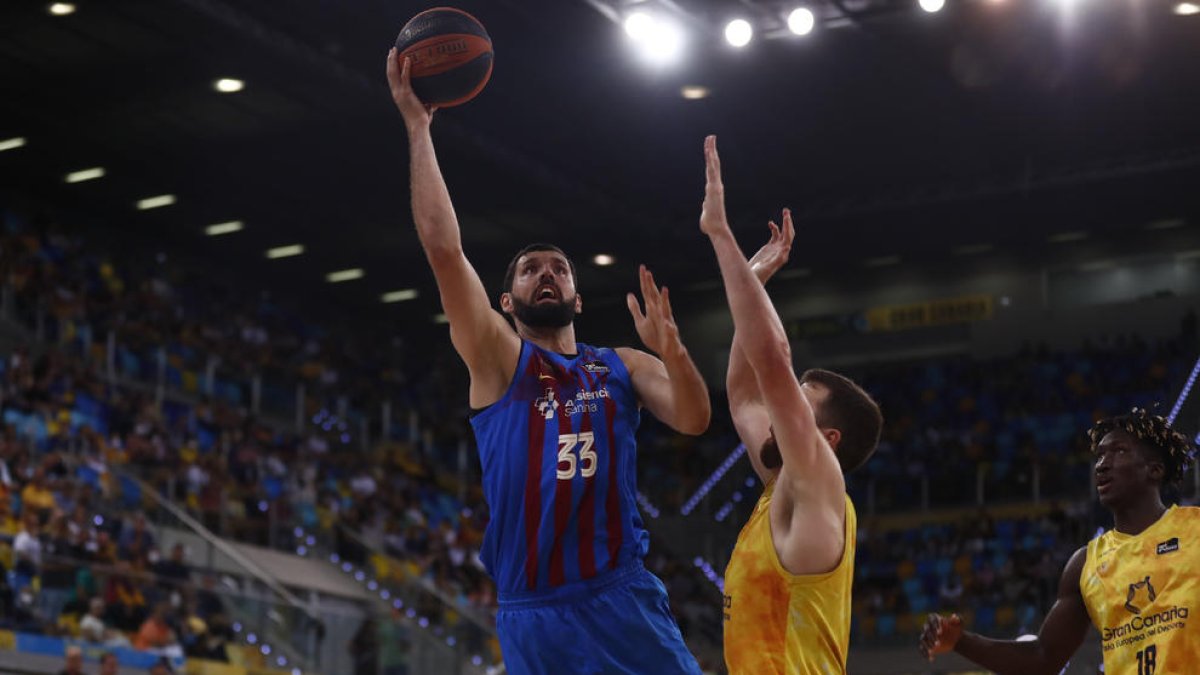 Mirotic anotant una cistella