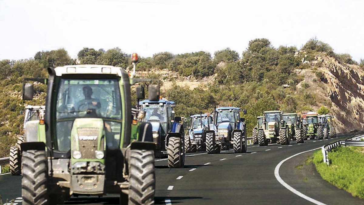 Moribunda cultura de Lleida