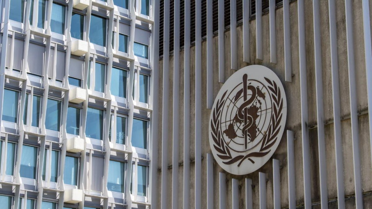 Experts plantegen la hipòtesi que la verola del mico es transmeti sexualment