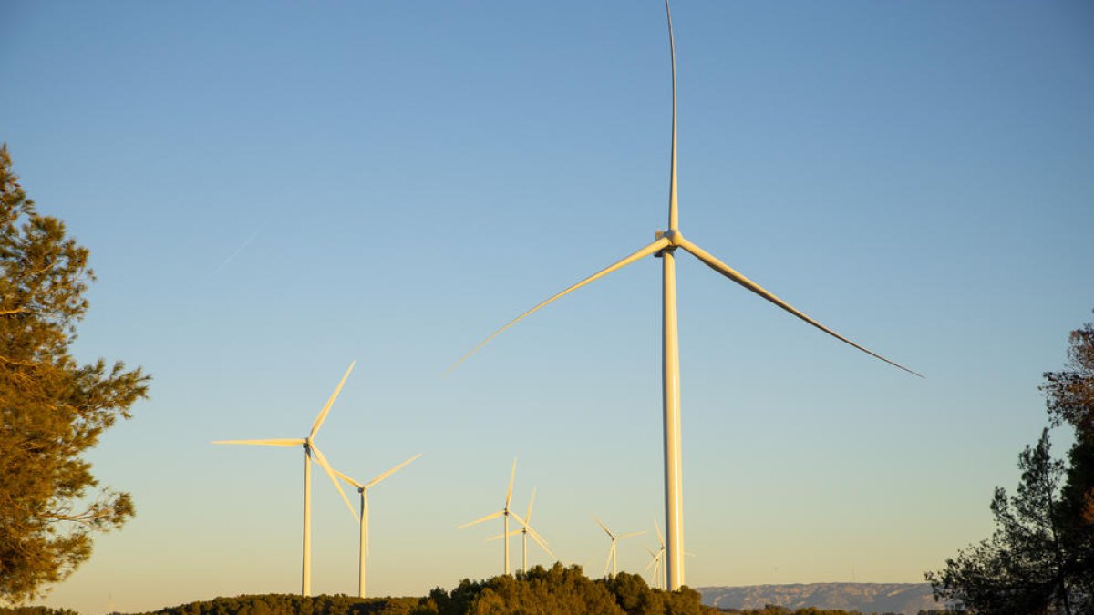 Vista dels molins del parc eòlic de Solans, acabats i a l’espera d’entrar en servei.