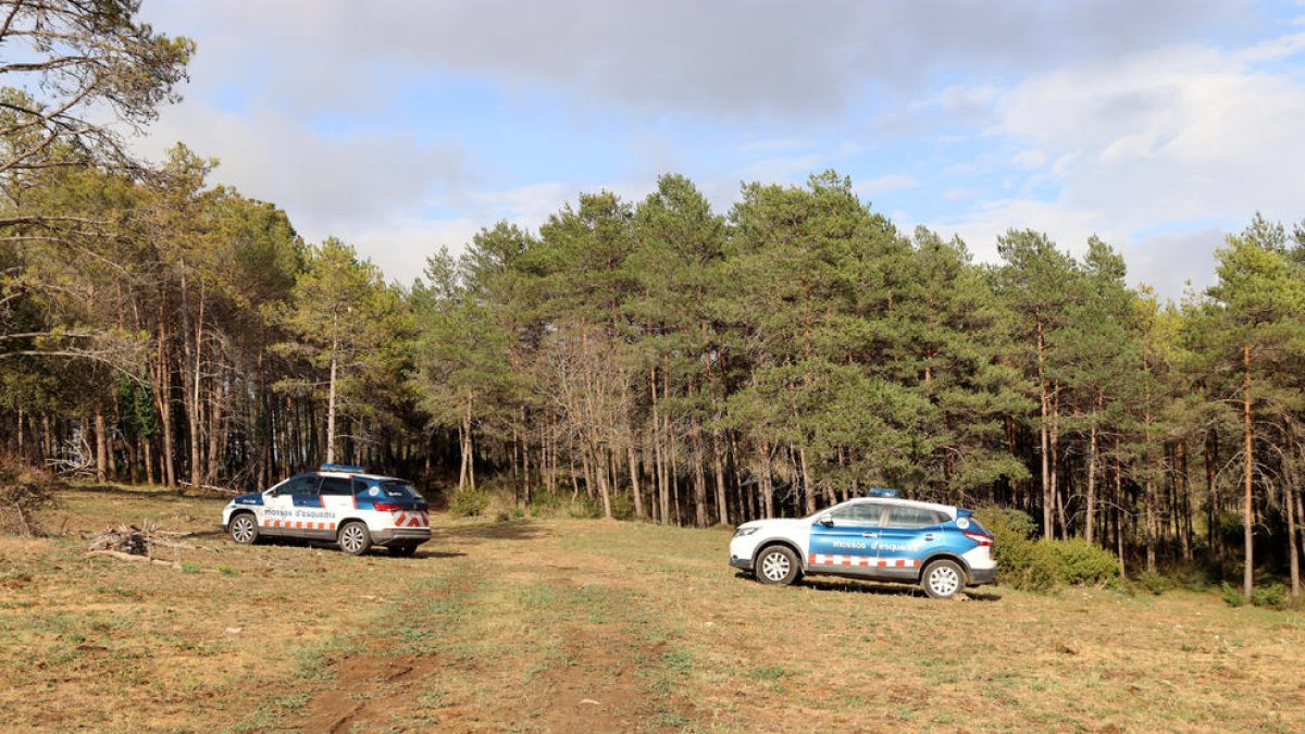 Los dos ultraligeros se estrellaron en una zona boscosa y se originó un pequeño incendio.