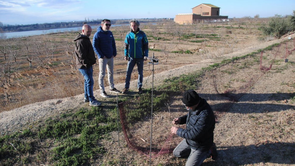 Les xarxes es van instal·lar en uns camps pròxims a l’edifici de Cal Sinén.