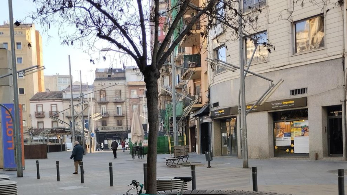 Imagen de la bicicleta en Bisbe Ruano