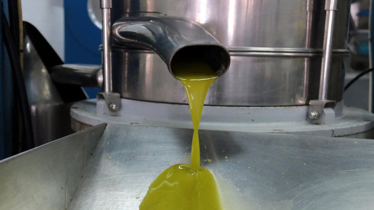Imagen de archivo de una productora de aceite.