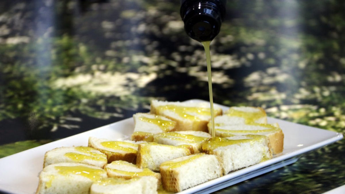 Lleida es territorio de producción de aceite de oliva de máxima calidad.