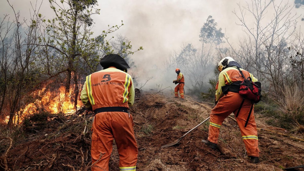 Los Bomberos de Asturias batallando ayer por apagar uno del centenar de incendio activos.