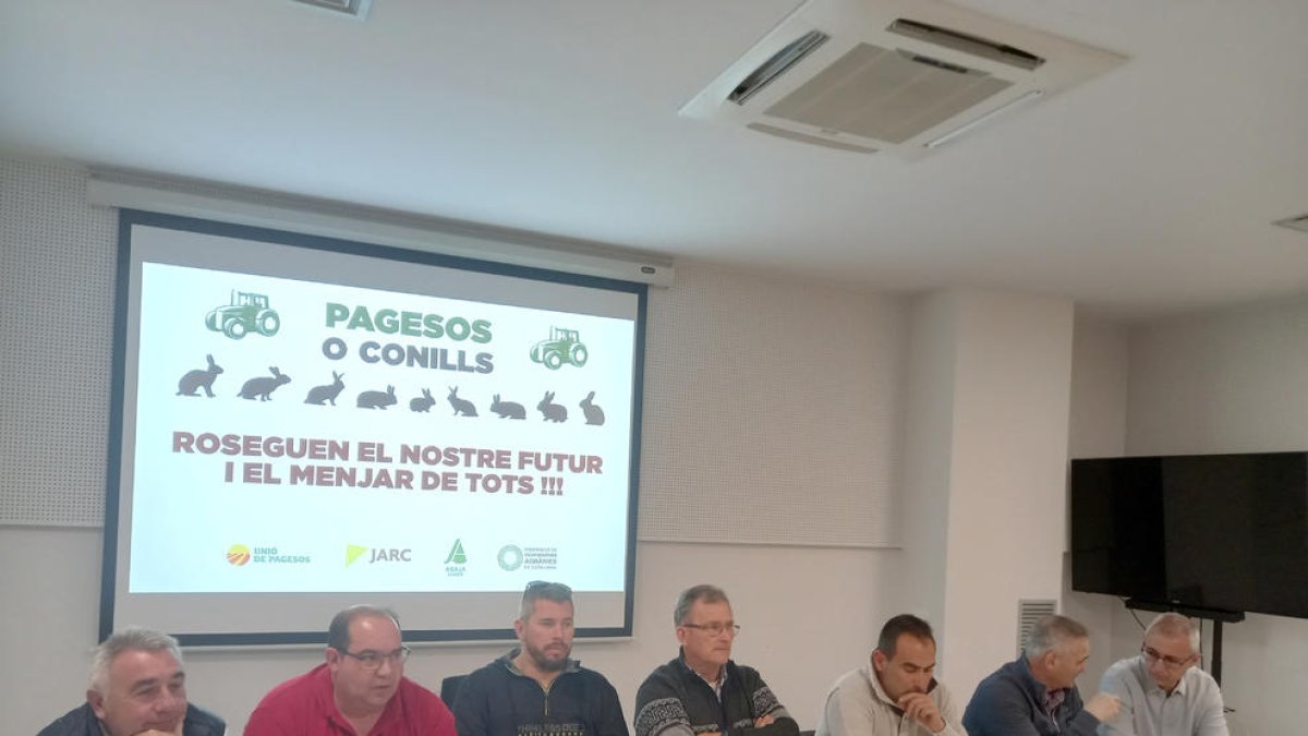 La plataforma Pagesos o Conills pide aplicar una docena de medidas para parar los daños de los animales a los cultivos