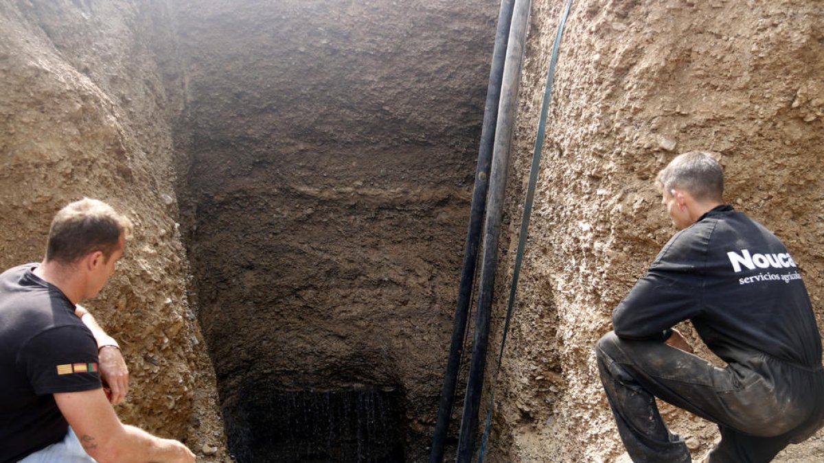 El Garrigues Sud penaliza el gasto excesivo de agua tras limitar el riego