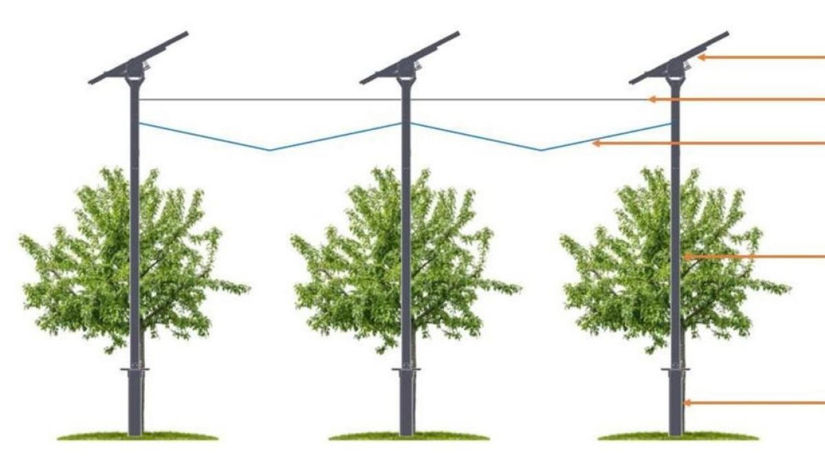 El gràfic mostra una instal·lació de panells mòbils com la prevista tant a Vilagrassa com a Mollerussa