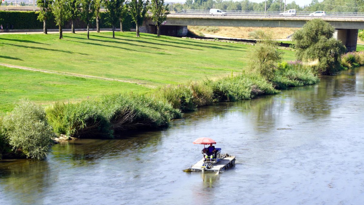 Un vehículo anfibio retirando a principios de junio algas del río Segre que sirven de refugio para las larvas de mosquitos y la mosca negra.
