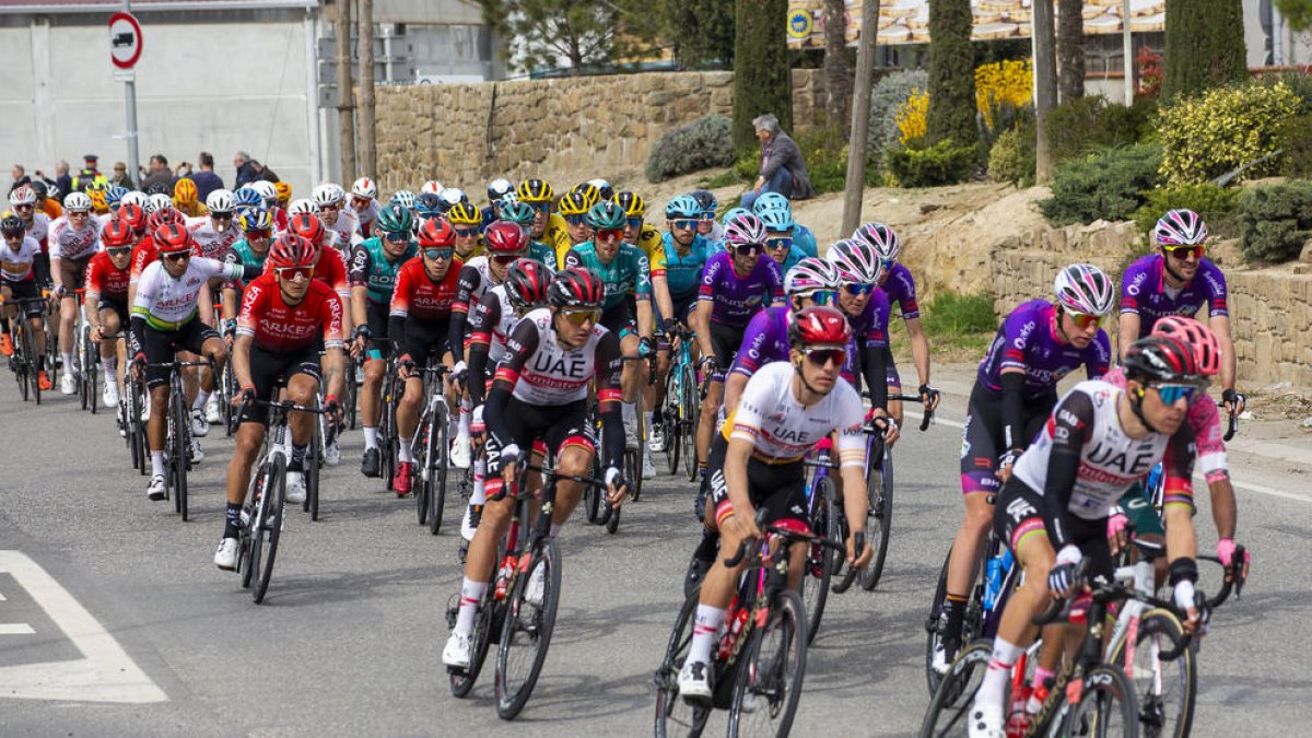 El pelotón de la Volta, a su paso ayer por Agramunt.