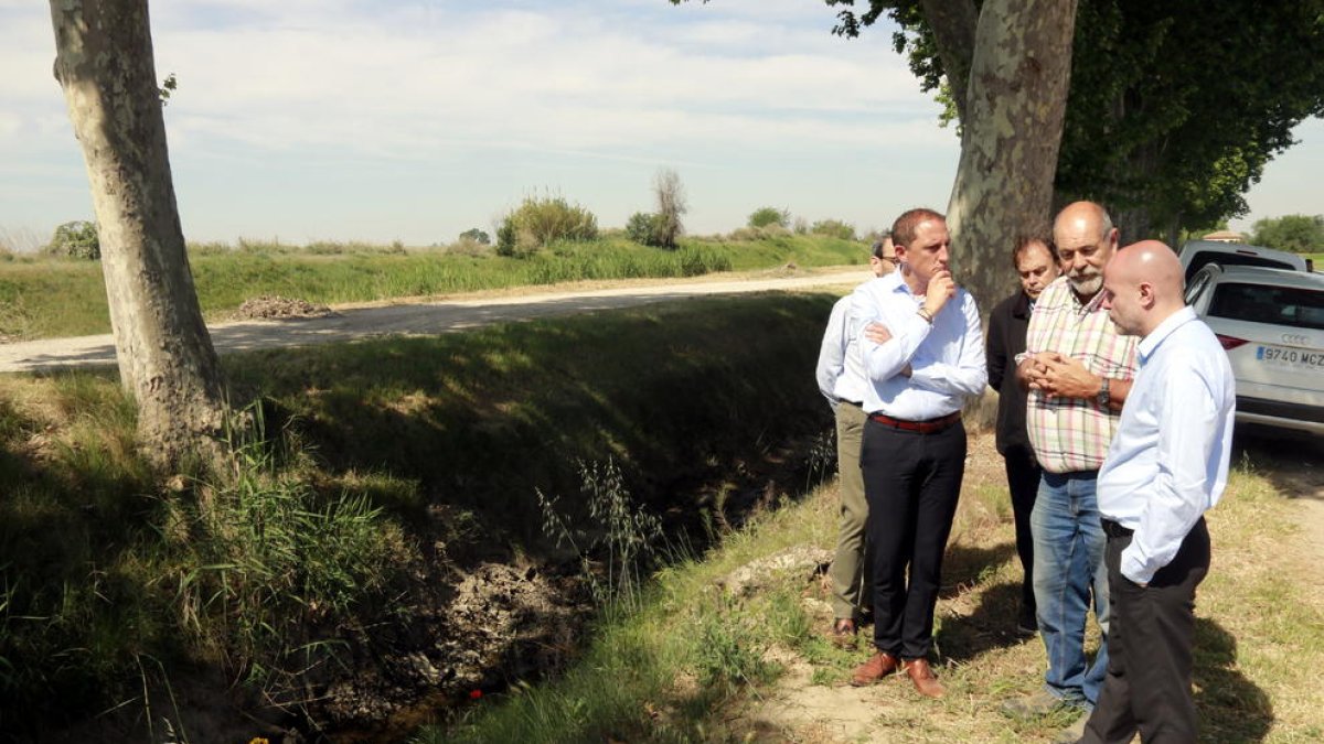 Agroseguro confia que l'administració donarà ajuts als agricultors davant d'una sequera que