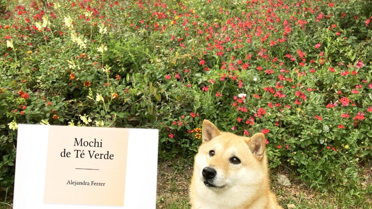 La perrita Mochi real y un ejemplar del libro ‘Mochi de Té Verde’.