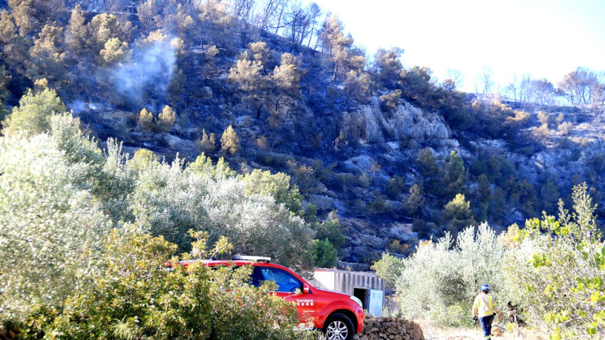 Imatge d’una zona encara fumejant a Puig Moltó del Perelló.